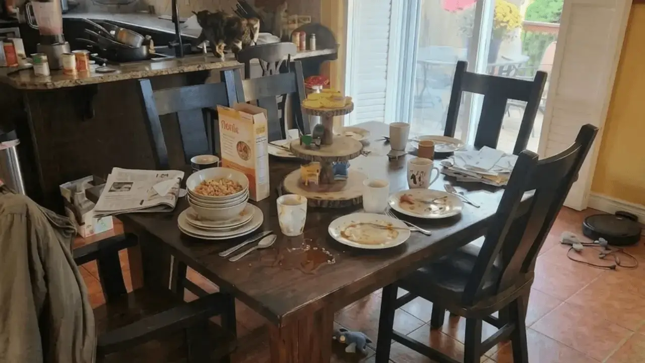 Before Cleaning